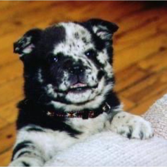 Meet your Posher, Carolyn - Picture 9 of 15